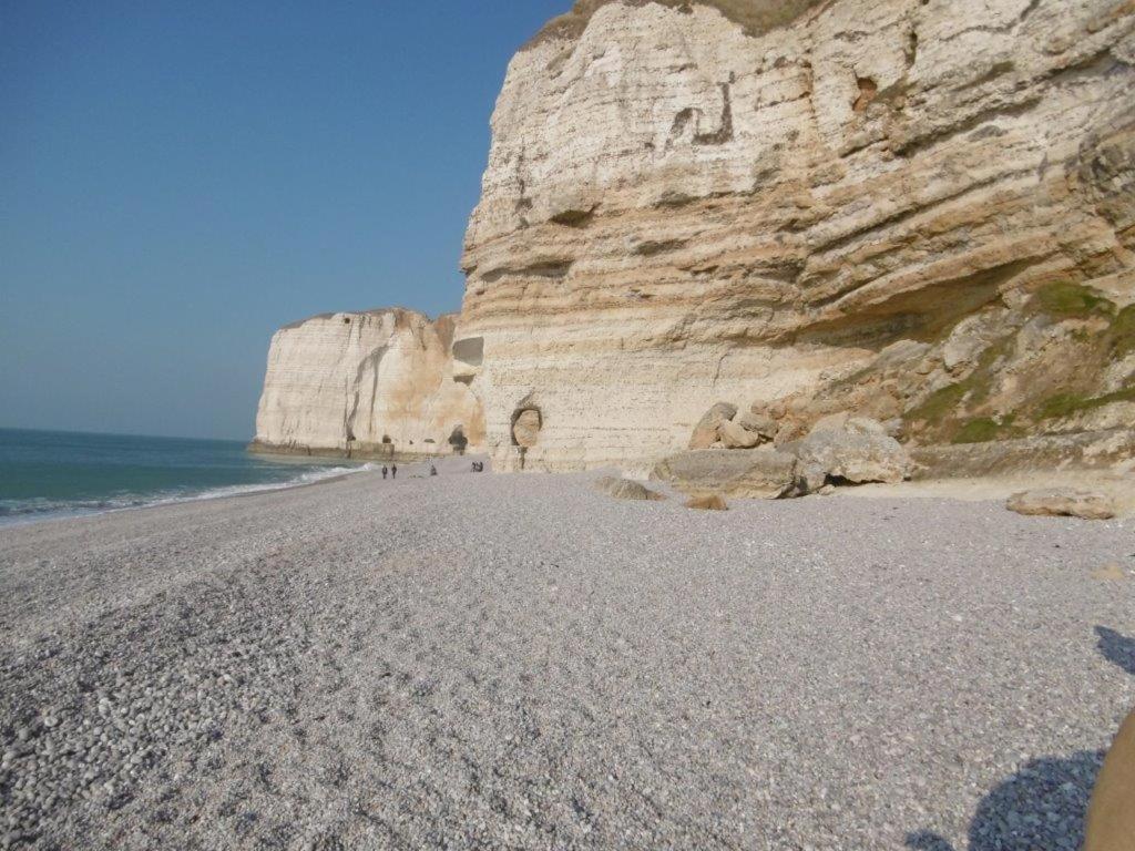 مبيت وإفطار Le Fief Beaurepaire 76280 المظهر الخارجي الصورة